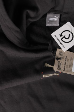 Herren Sweatshirt PUMA, Größe S, Farbe Grau, Preis 41,61 €