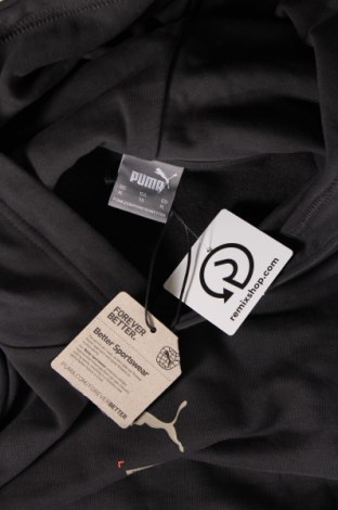 Ανδρικό φούτερ PUMA, Μέγεθος XL, Χρώμα Γκρί, Τιμή 41,01 €