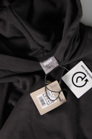 Herren Sweatshirt PUMA, Größe S, Farbe Grau, Preis 38,60 €