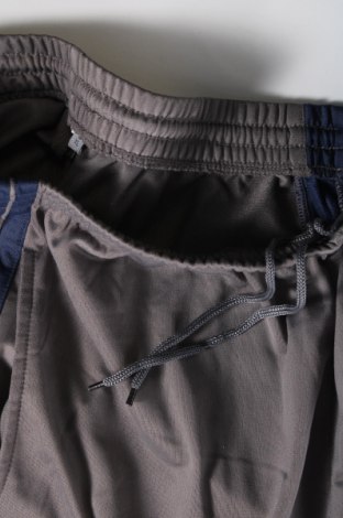 Ανδρικό αθλητικό παντελόνι, Μέγεθος XL, Χρώμα Γκρί, Τιμή 5,38 €