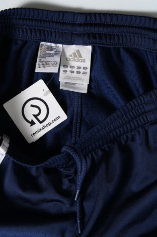 Herren Sporthose Adidas, Größe M, Farbe Blau, Preis € 20,18
