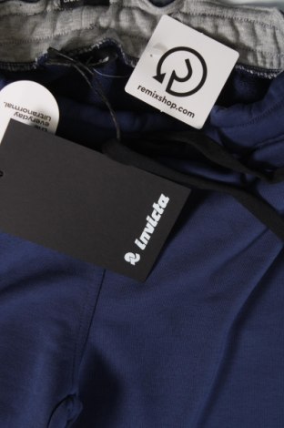 Ανδρικό αθλητικό παντελόνι Invicta, Μέγεθος S, Χρώμα Μπλέ, Τιμή 14,35 €