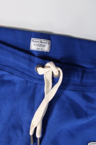Herren Sporthose Livergy, Größe XL, Farbe Blau, Preis 20,18 €
