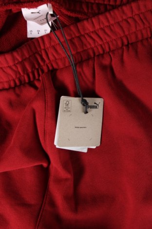 Herren Sporthose PUMA, Größe L, Farbe Rot, Preis 44,85 €