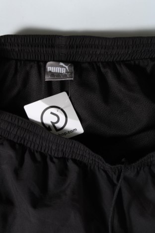 Herren Sporthose PUMA, Größe L, Farbe Schwarz, Preis 20,18 €