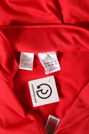 Ανδρική αθλητική ζακέτα Adidas, Μέγεθος XL, Χρώμα Πολύχρωμο, Τιμή 33,40 €
