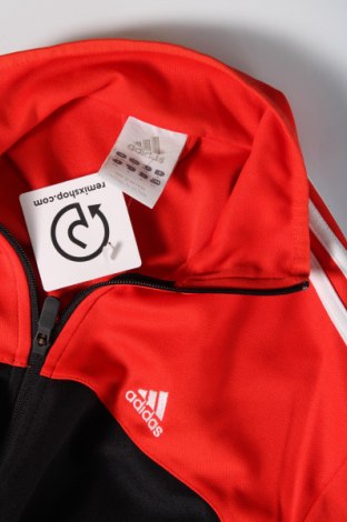 Ανδρική αθλητική ζακέτα Adidas, Μέγεθος S, Χρώμα Πολύχρωμο, Τιμή 32,40 €