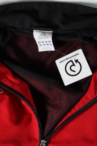 Herrenjacke Adidas, Größe L, Farbe Rot, Preis 45,51 €