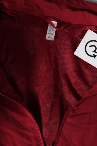 Ανδρικό μπουφάν Adidas, Μέγεθος L, Χρώμα Κόκκινο, Τιμή 100,33 €