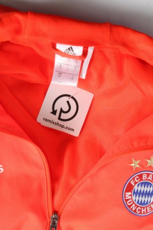 Ανδρικό μπουφάν Adidas, Μέγεθος S, Χρώμα Πορτοκαλί, Τιμή 45,15 €