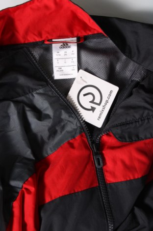 Herrenjacke Adidas, Größe XXL, Farbe Grau, Preis 29,34 €