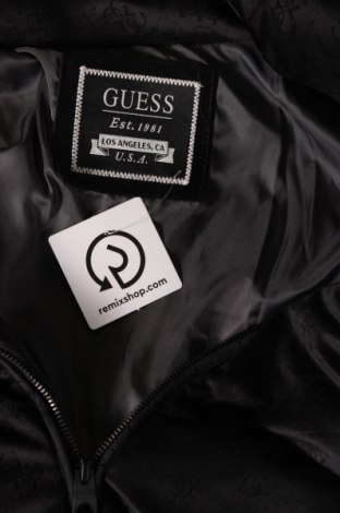 Ανδρικό μπουφάν Guess, Μέγεθος M, Χρώμα Μαύρο, Τιμή 126,80 €