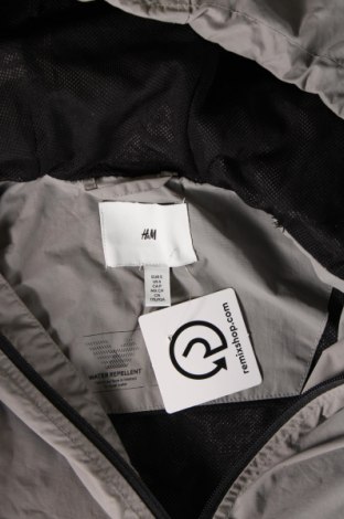 Ανδρικό μπουφάν H&M, Μέγεθος S, Χρώμα Γκρί, Τιμή 21,48 €