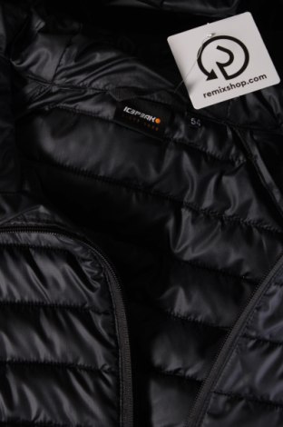 Pánska bunda  Icepeak, Veľkosť XL, Farba Modrá, Cena  105,15 €