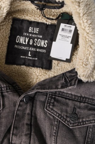 Ανδρικό μπουφάν Only & Sons, Μέγεθος L, Χρώμα Γκρί, Τιμή 25,57 €