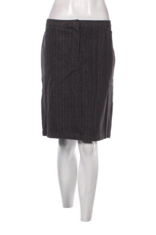 Φούστα H&M, Μέγεθος XL, Χρώμα Γκρί, Τιμή 3,05 €