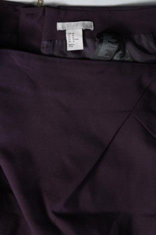 Sukně H&M, Velikost L, Barva Fialová, Cena  79,00 Kč