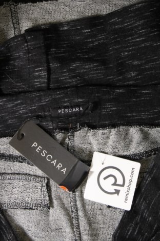 Φούστα Pescara, Μέγεθος XL, Χρώμα Πολύχρωμο, Τιμή 4,27 €