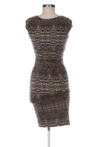 Kleid Dorothy Perkins, Größe S, Farbe Mehrfarbig, Preis 14,84 €