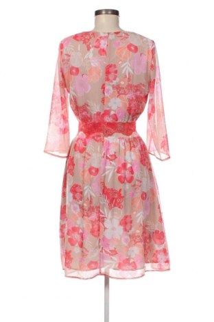 Kleid Fracomina, Größe S, Farbe Mehrfarbig, Preis 13,53 €