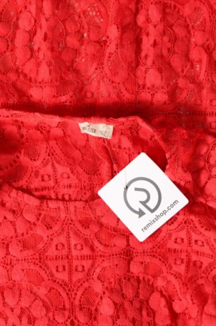 Kleid Hollister, Größe S, Farbe Rot, Preis 3,55 €