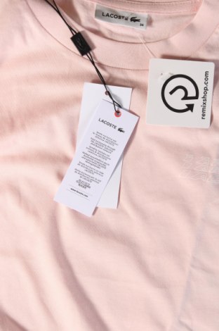 Kleid Lacoste, Größe XS, Farbe Rosa, Preis 62,75 €