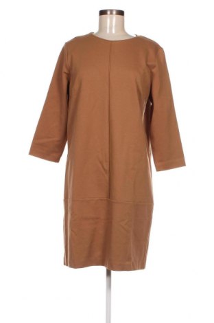 Kleid Le Coeur TWINSET, Größe L, Farbe Braun, Preis 79,81 €