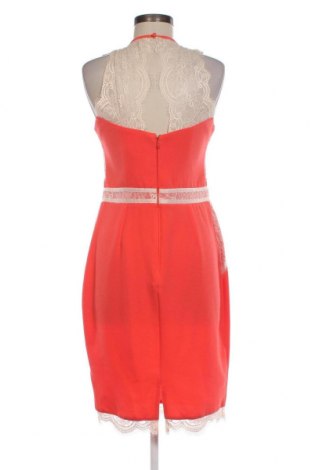 Kleid Lipsy London, Größe M, Farbe Rot, Preis € 12,17