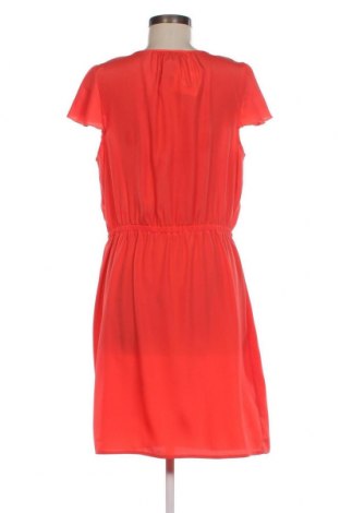 Kleid Miss Tina, Größe L, Farbe Rot, Preis € 11,01