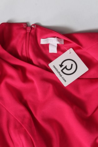 Šaty  New York & Company, Veľkosť S, Farba Ružová, Cena  10,99 €