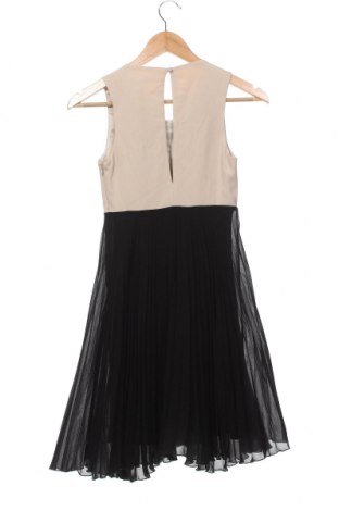 Kleid Pinko, Größe XXS, Farbe Mehrfarbig, Preis 211,34 €