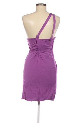 Kleid Pinko, Größe S, Farbe Lila, Preis 173,30 €