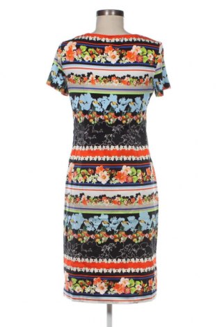 Kleid Riani, Größe M, Farbe Mehrfarbig, Preis 49,50 €