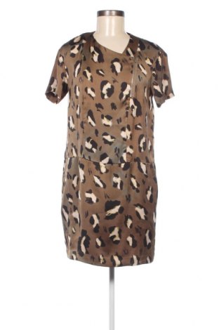 Kleid Tiger Of Sweden, Größe S, Farbe Braun, Preis 28,57 €