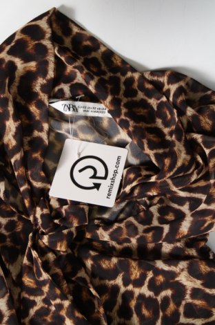 Kleid Zara, Größe XS, Farbe Mehrfarbig, Preis 16,43 €