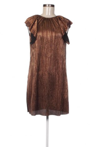 Kleid Zee Lane, Größe S, Farbe Braun, Preis 16,30 €