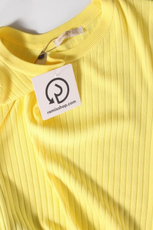 Tunika Fracomina, Größe S, Farbe Gelb, Preis € 10,52