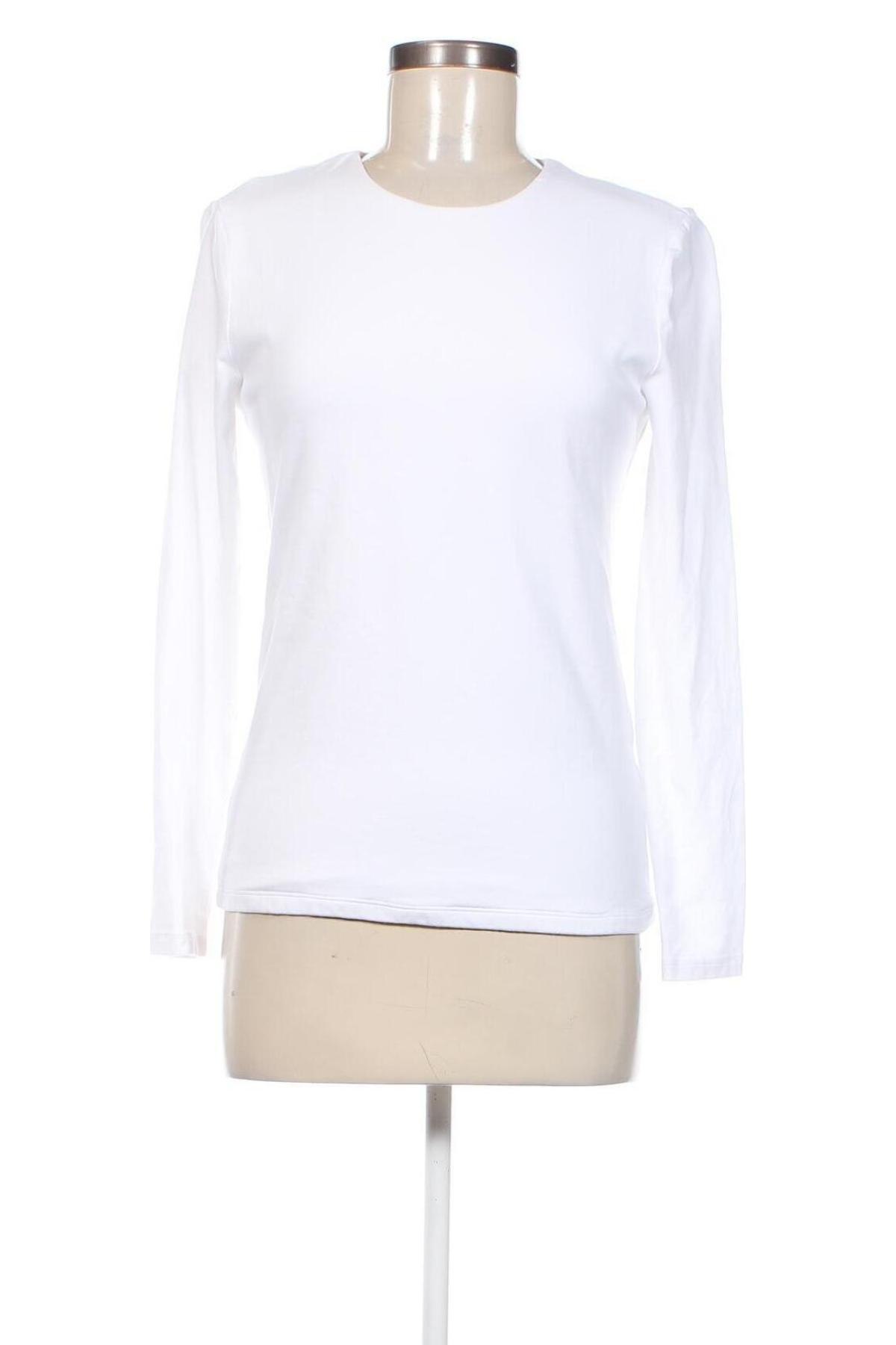 Γυναικεία μπλούζα Abercrombie & Fitch, Μέγεθος L, Χρώμα Λευκό, Τιμή 39,96 €