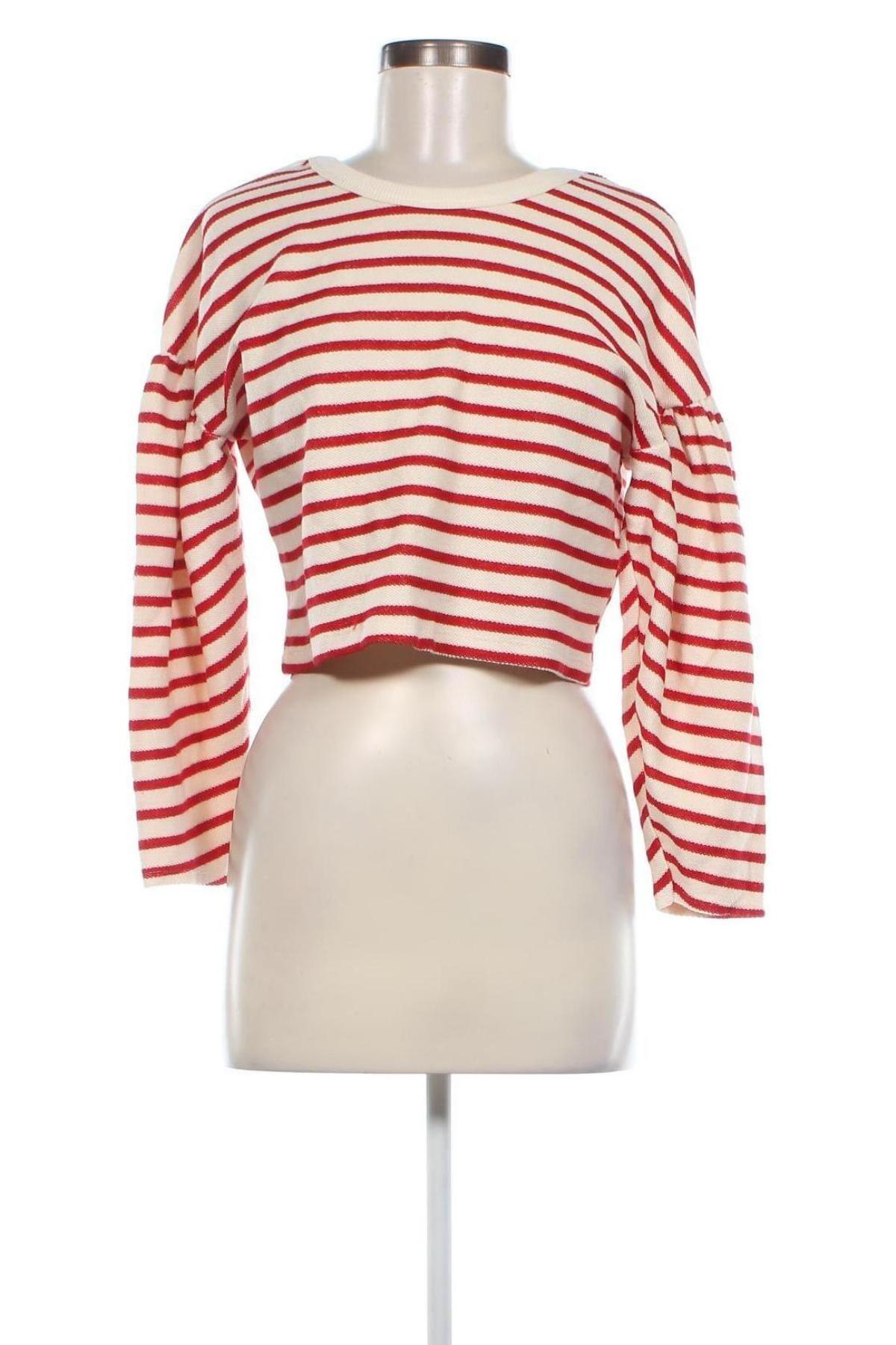 Γυναικεία μπλούζα Bershka, Μέγεθος S, Χρώμα Πολύχρωμο, Τιμή 1,74 €