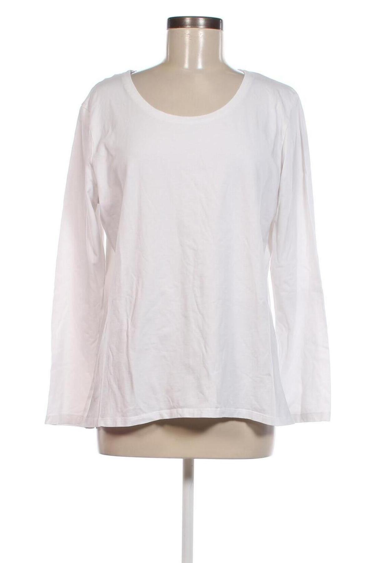 Damen Shirt C&A, Größe XL, Farbe Weiß, Preis 5,00 €