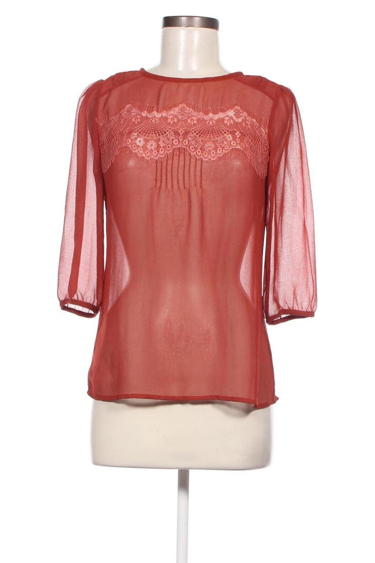 Γυναικεία μπλούζα Dorothy Perkins, Μέγεθος S, Χρώμα Κόκκινο, Τιμή 3,17 €