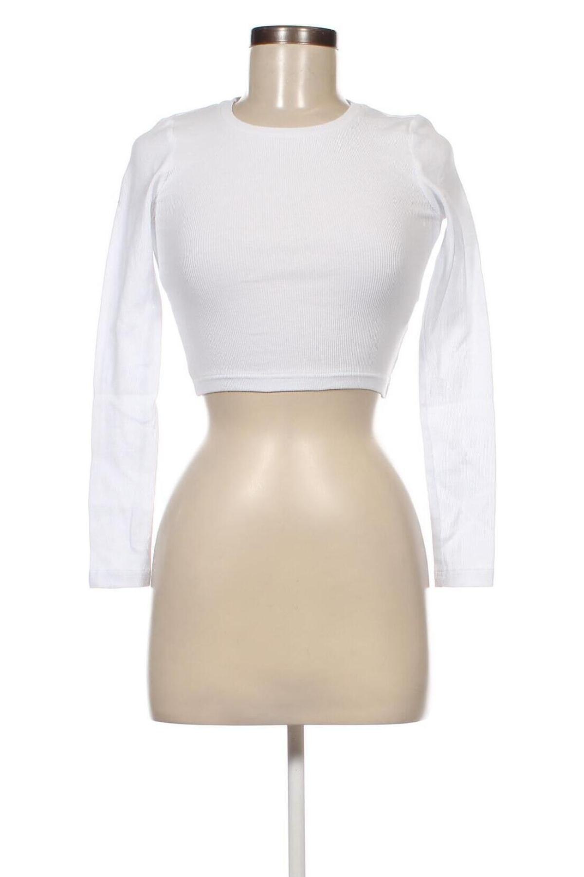 Γυναικεία μπλούζα Even&Odd, Μέγεθος XS, Χρώμα Λευκό, Τιμή 2,40 €