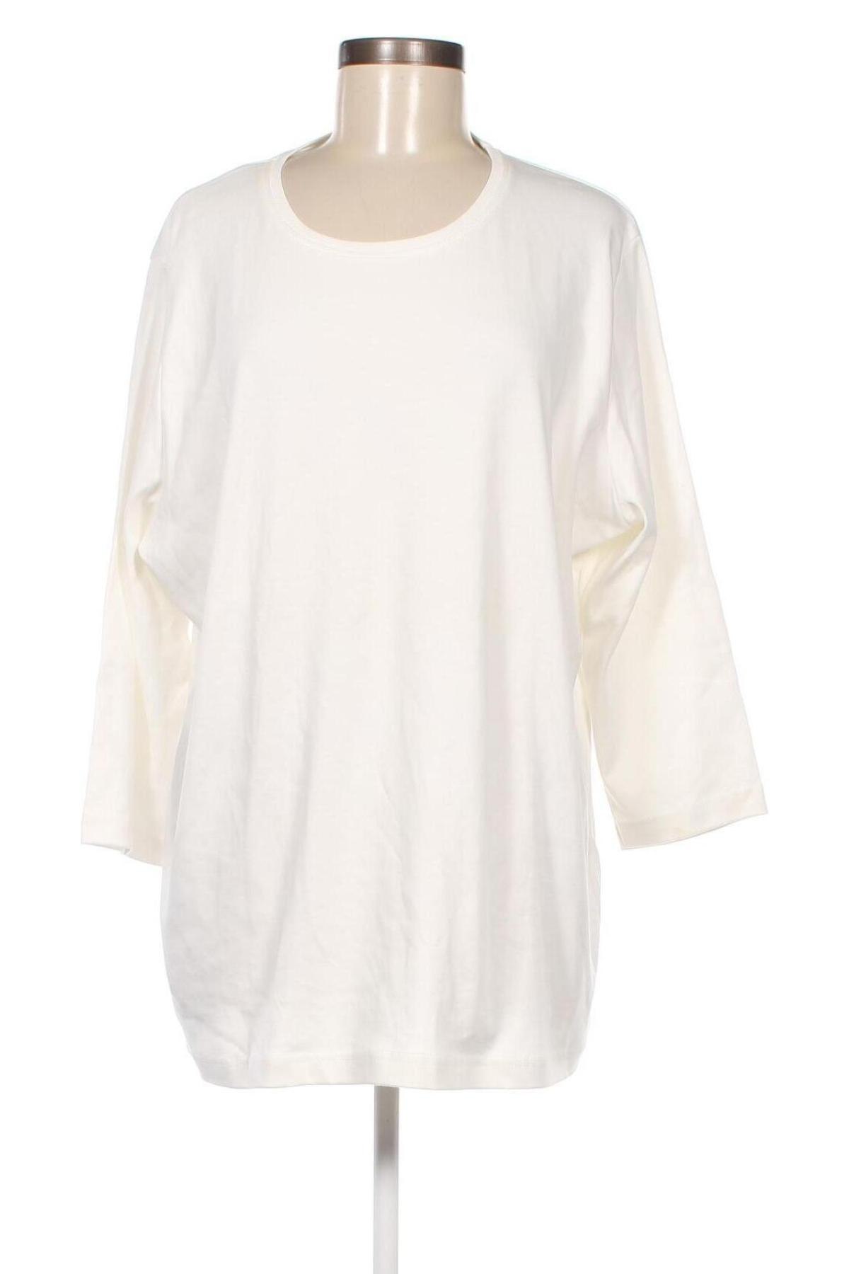 Γυναικεία μπλούζα Kingfield, Μέγεθος XXL, Χρώμα Λευκό, Τιμή 11,75 €