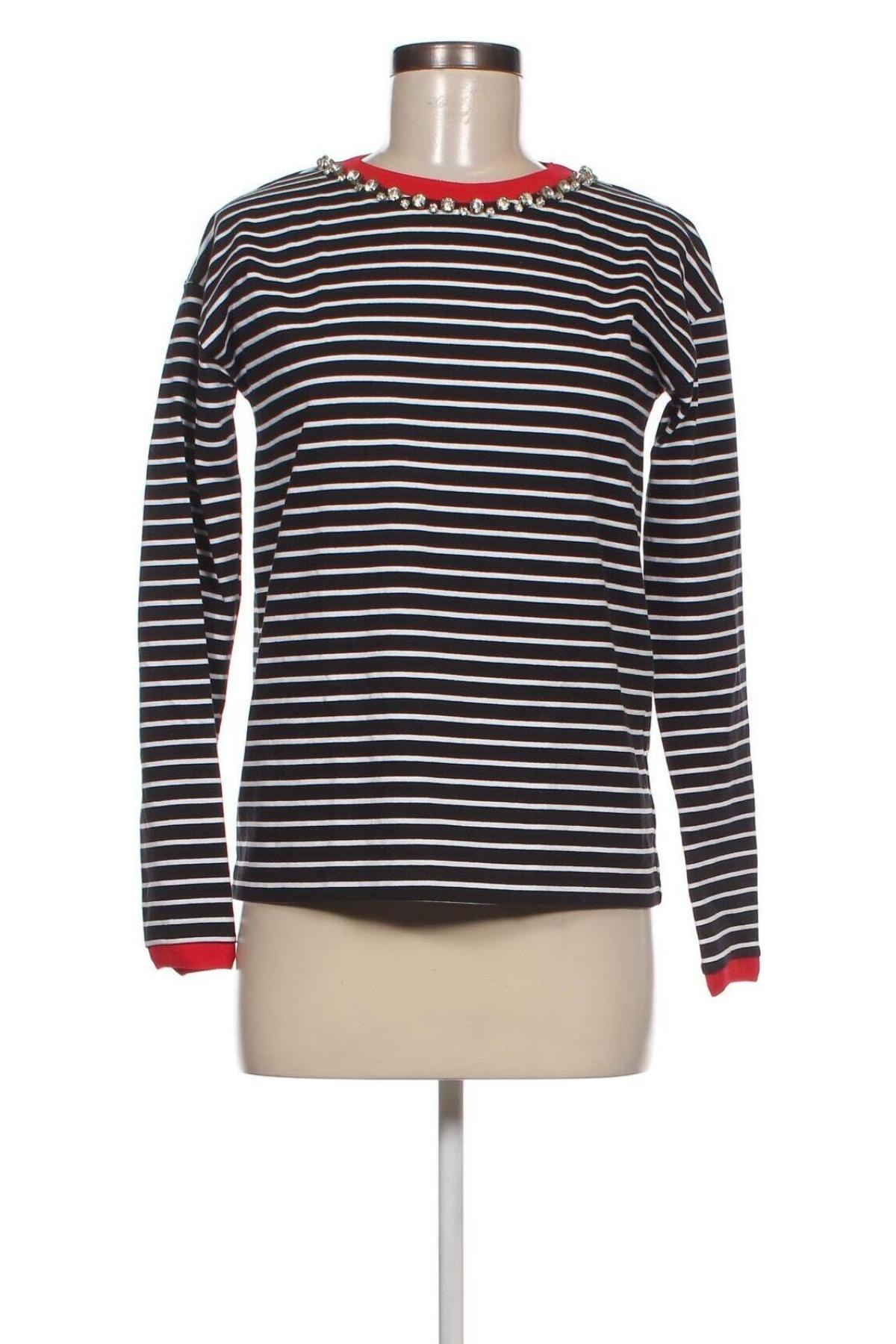 Damen Shirt Pinko, Größe XS, Farbe Schwarz, Preis 102,23 €