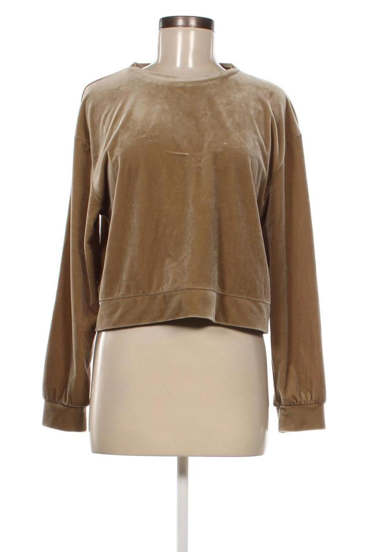 Damen Shirt Zara, Größe S, Farbe Grün, Preis € 13,92