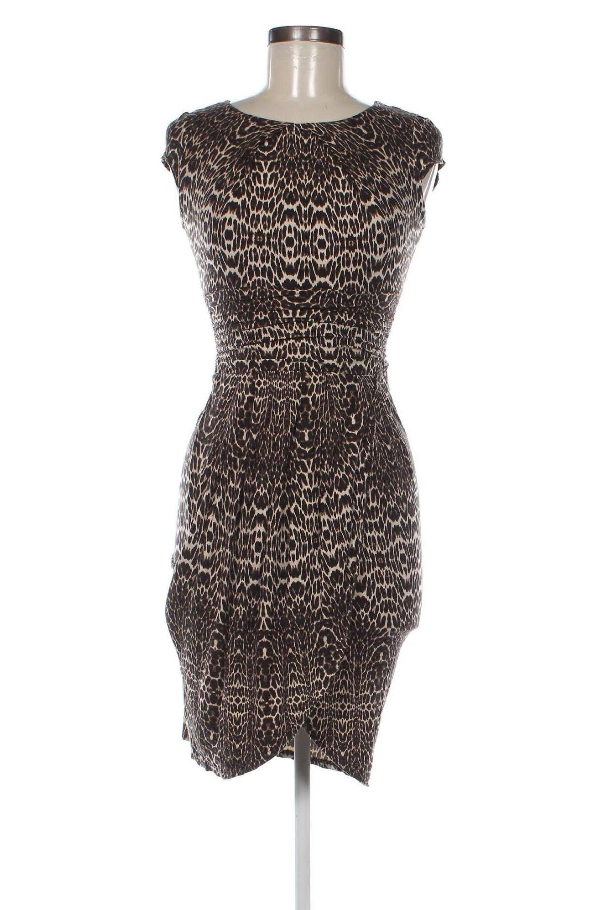 Kleid Dorothy Perkins, Größe S, Farbe Mehrfarbig, Preis 14,84 €