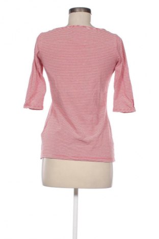 Damen Shirt Esprit, Größe L, Farbe Mehrfarbig, Preis € 17,39