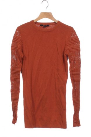 Damen Shirt Nikkie, Größe XS, Farbe Braun, Preis € 10,99