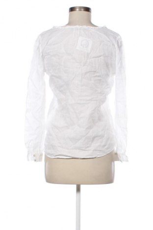 Damen Shirt Zara, Größe S, Farbe Weiß, Preis 4,99 €