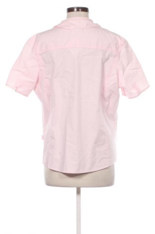Damenbluse Cecil, Farbe Rosa, Preis € 5,99